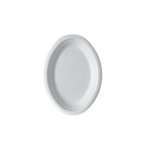 Bagasse Oval Plate